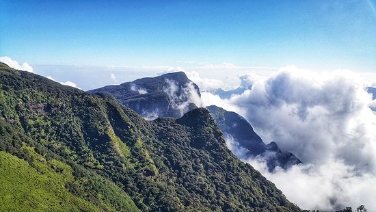 Local cuisine and culinary experiences